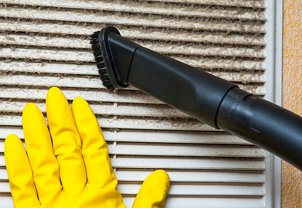 Air Duct Mold Removal in Boron, CA